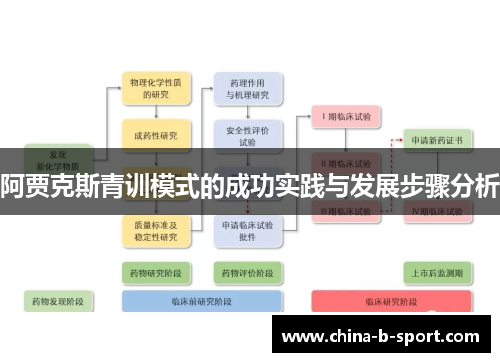 阿贾克斯青训模式的成功实践与发展步骤分析