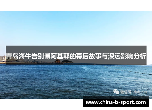 青岛海牛告别博阿基耶的幕后故事与深远影响分析 青岛海牛告别博阿基耶的幕后故事与深远影响分析